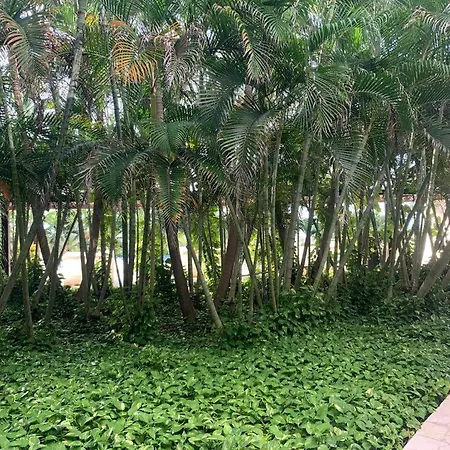 Hermoso Apartamento Centrico *